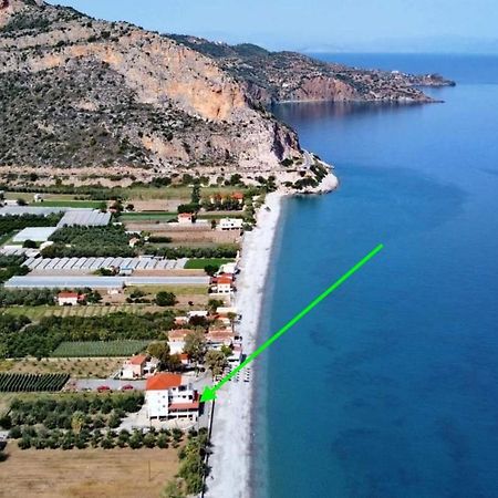 Thassa Beach Apartment No1 Leonídion Eksteriør billede